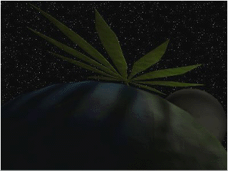 Space Weed